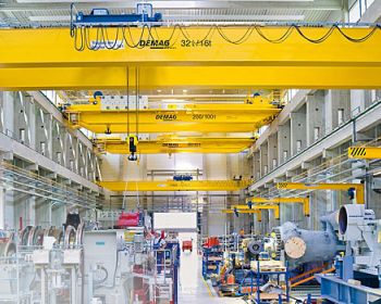 new-puentes grua